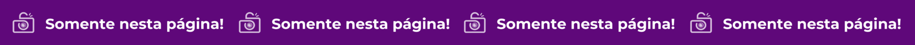 Somente-nesta-pagina-Copia-Copia-2-e1702226736774-1.png